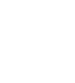 Luxury VA Homes